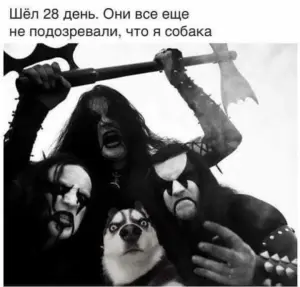 Изображение из комментария