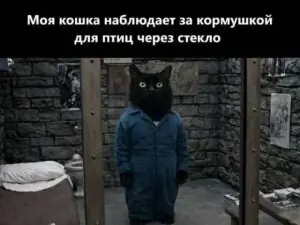 Изображение из комментария