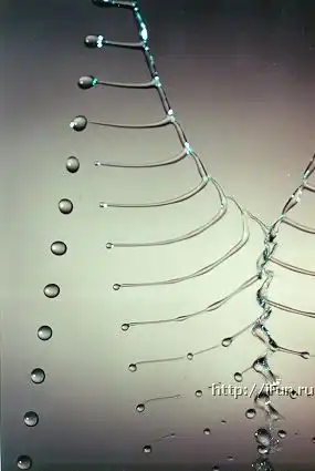 Водные скульптуры