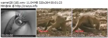 Обизьянки Vs Крокодилы