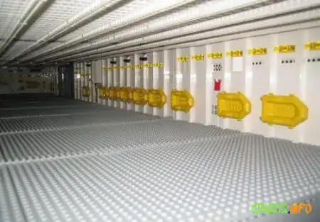 Увеличить картинку