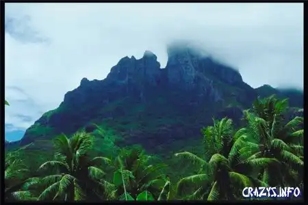 Увеличить картинку