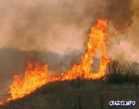 Увеличить картинку