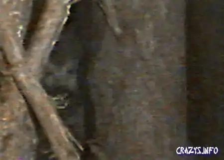 Увеличить картинку