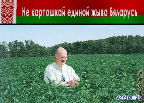 Куда пропал Лукашенко