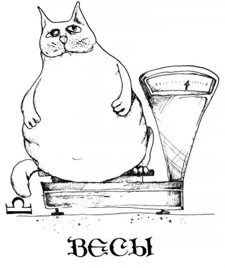 Знаки Зодиака по-кошачьему