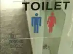 Чем занимаются туалетные знаки, когда никто не видит