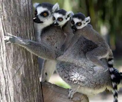 Классная добрая подборка. С мамами