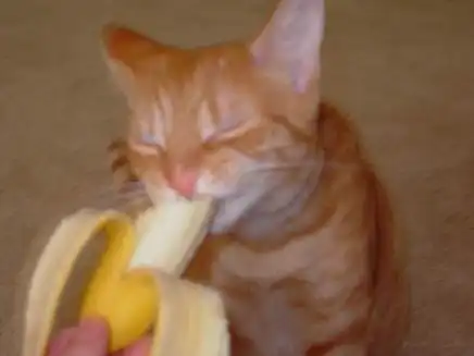 Ням-ням банан