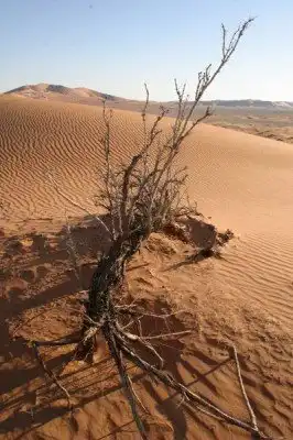 Пустыня (20 фото) :)