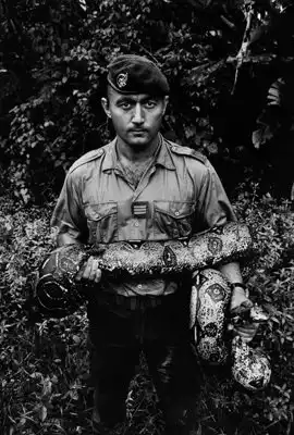 Работы фотографа Зеда Нельсона (19 фото)