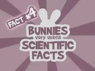 Научный факт о кроликах №4