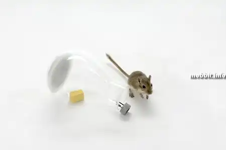 Концептуальные гуманные мышеловки