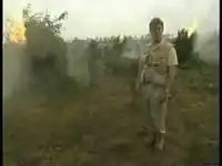 Солдаты жгут траву, репортера торкнуло:-)
