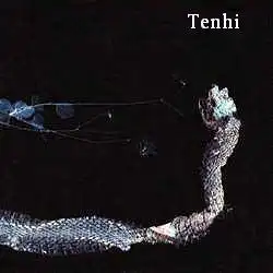 TENHI - Maaaet