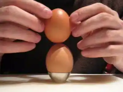 Потрясающая композиция из куриных яиц