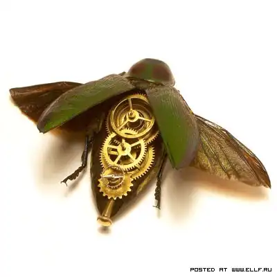 Механические насекомые.