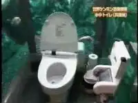 Японцы чудят. Туалет в аквариуме