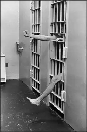 Американские тюрьмы и заключенные (20 фото)