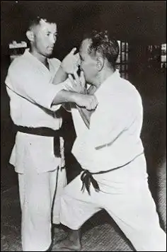 Подборка картинок про традиционное каратэ