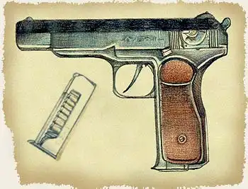 Автоматический пистолет Стечкина