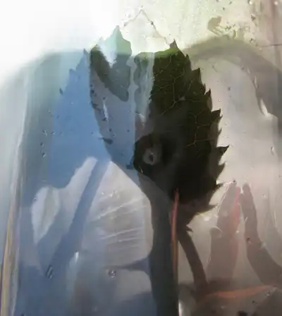 Разные фото - 5