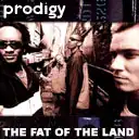Аватары The Prodigy