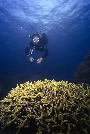 Большой Барьерный Риф