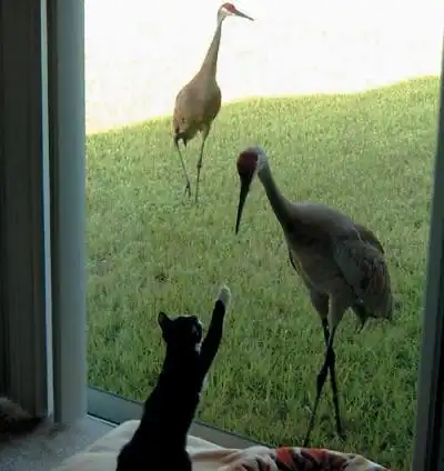 Прикольная фотоподборка =)