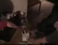 Кто дольше продержит руку в тостере