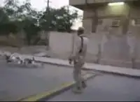 Утки ходят строем в Ираке