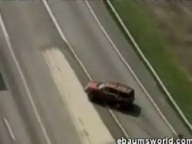 Жестокие кадры !