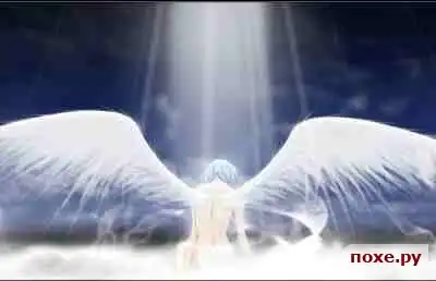 Frequency of the soul...