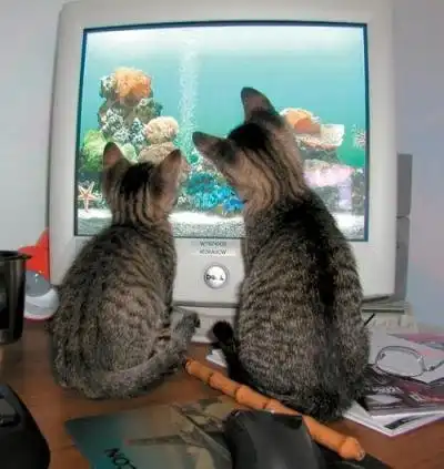 Фотоподборка