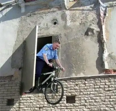 Прикольная фотоподборка (55 фото)