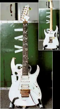 Малюююсенькая часть гитар великого Стива Вая (Steve Vai)
