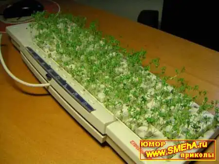 Подборка про комп