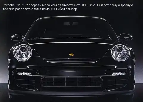 Главный спортсмен