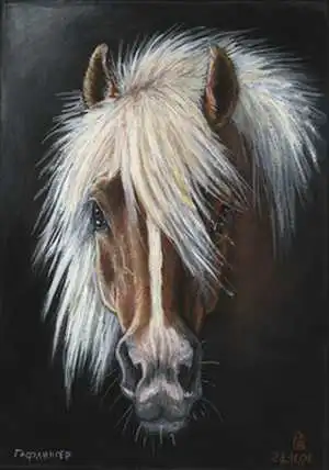 Набор красивых рисунков с лошадьми.