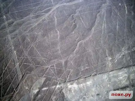 Рисунки пустыни Наска