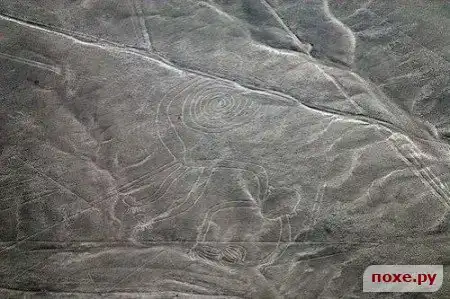 Рисунки пустыни Наска