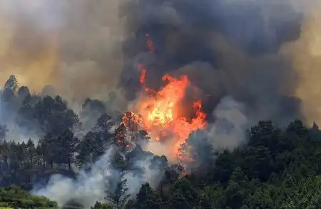 Пожар на канарах