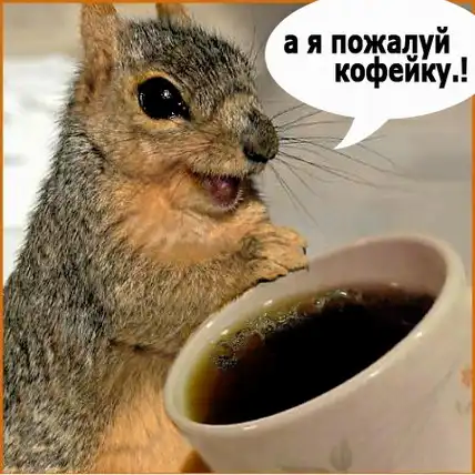 Новая порция анеков