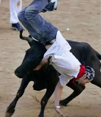 Наперегонки с быками