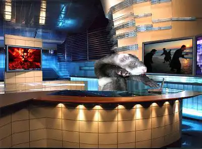 Фотожаба: Ведущие новостей (56 фото)