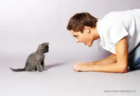 Иван Николаев