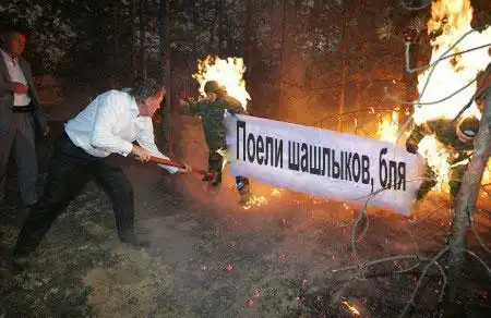 Жгут. Фотожаба