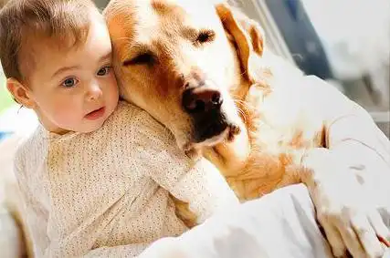 Детишки и собаки!!!!