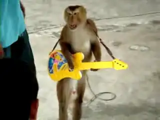 Не трогай мою гитару...