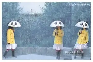 дождик-зонтик